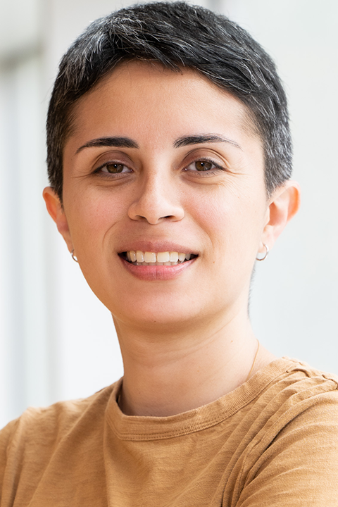 Melissa A. Cabarcas