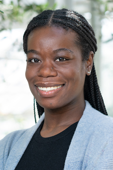 Tierra Wilkins Valdés