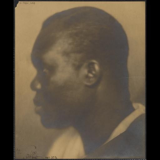 Hubert Harrison papers